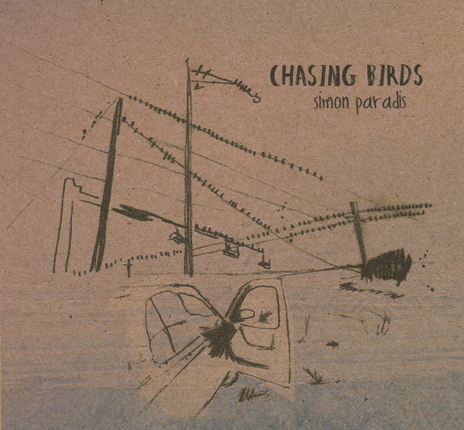 Chasing Birds